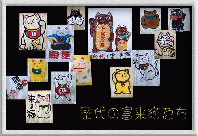 12　富来猫たち.jpg