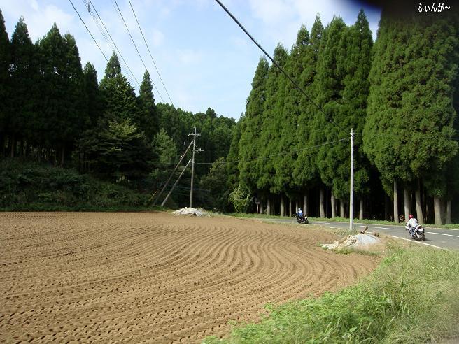 12　山の中ですが道は良い.JPG