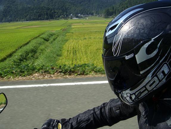 12　稲刈りの香りがします.JPG