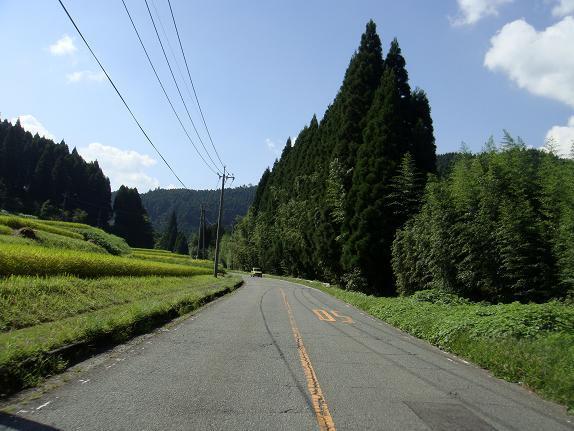 13　椎葉へ抜ける国道へ.JPG