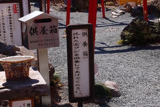 14　はずれは捨てずにここまでどうぞ.JPG