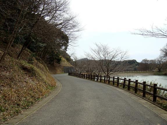 14　グァ～グァ～倶楽部が出来るな.JPG