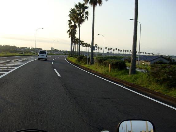 14　宮崎らしい道路.JPG