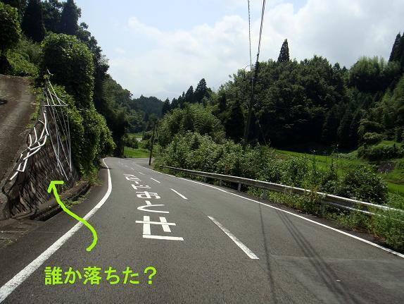 14　柵がボキ折れてますケロ.JPG