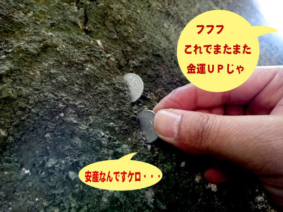 15 これで金運UP.jpg