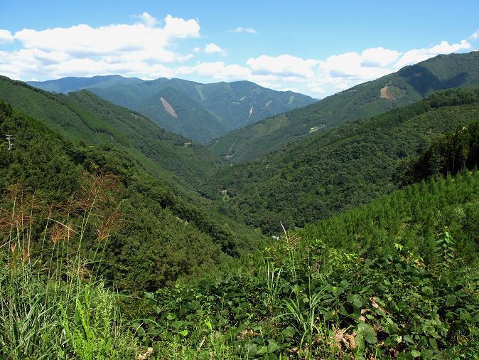 15　山しか無い・・・.JPG