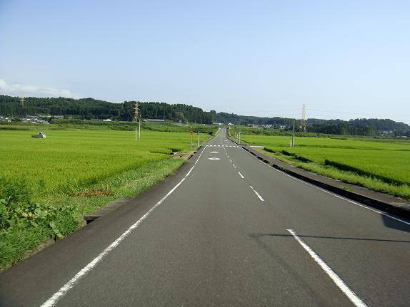 18　母智丘公園から県道へ向かってる.JPG