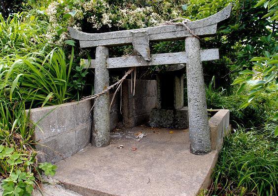 20　カニが死んでいます.JPG