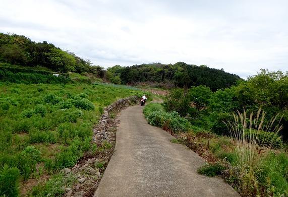 21　どうも向かいの山っぽい.JPG