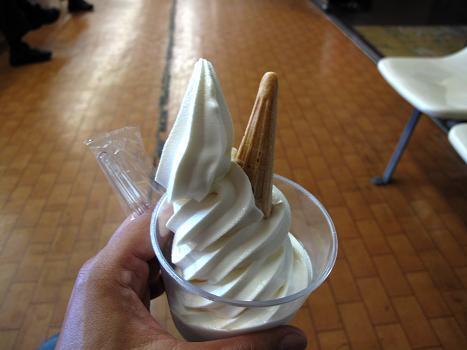 22　ライチョウソフト.JPG