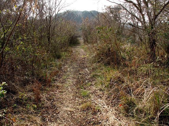22　探検なのに快適な道.JPG