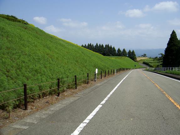 22　生駒高原のコスモスは３輪咲いてました.JPG