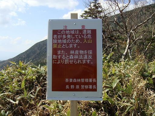 22　確かに背の高い熊笹で迷いそうです.JPG