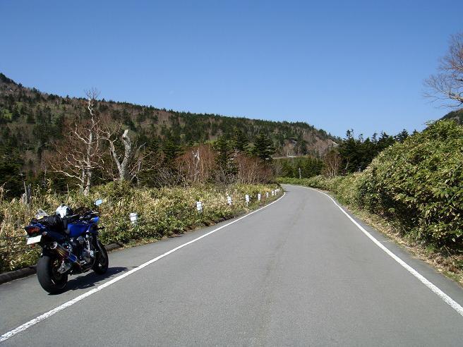 23　通行止解除ホヤホヤの道です.JPG
