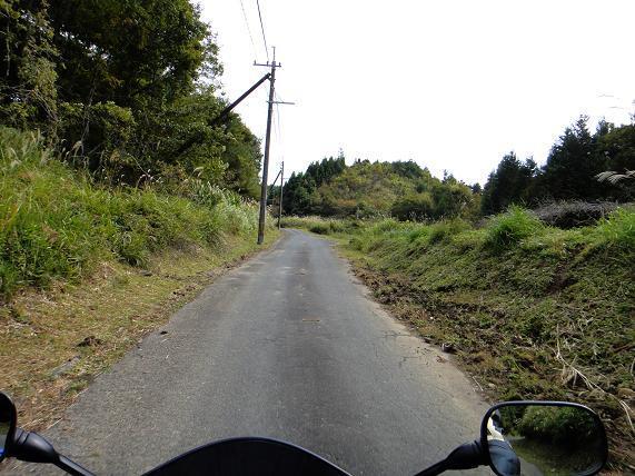 25　初めて通る林道です.JPG