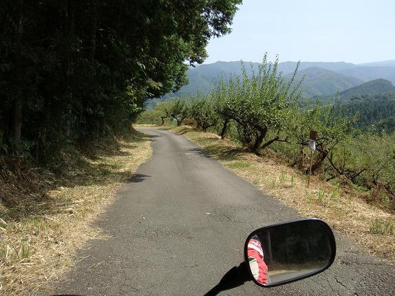 26　これも駅までのメイン道路です.JPG