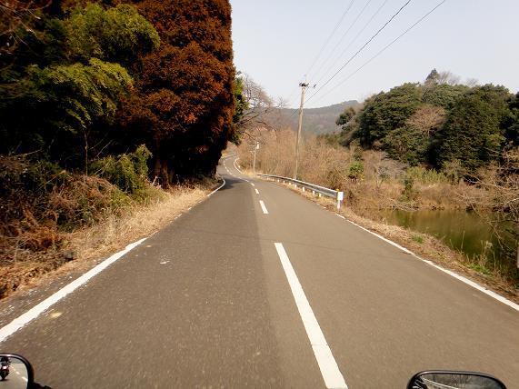 26　ついカワセミを探してしまう癖が・・・.JPG