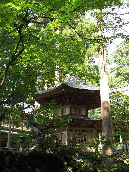 26　僕には珍しくお寺巡り.JPG