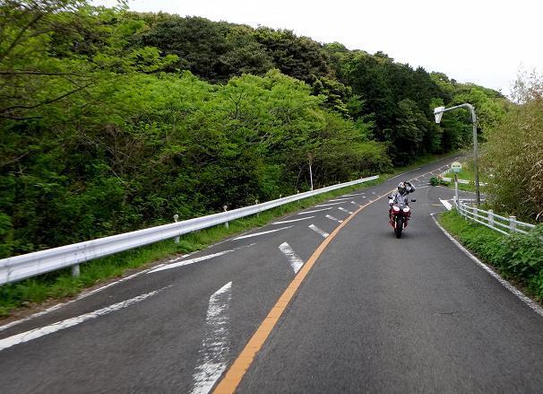 27　街まで僕が先導です.JPG