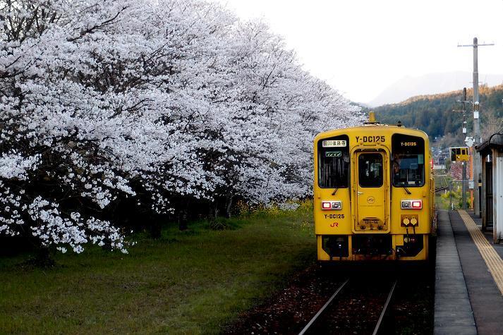 28　金運カラーです.JPG