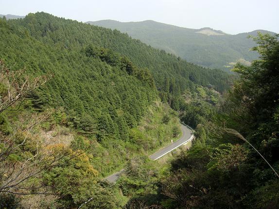28　長い林道です.JPG