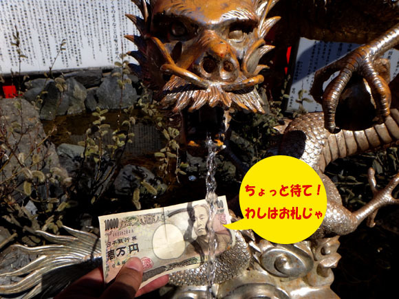 29 増えてください.jpg