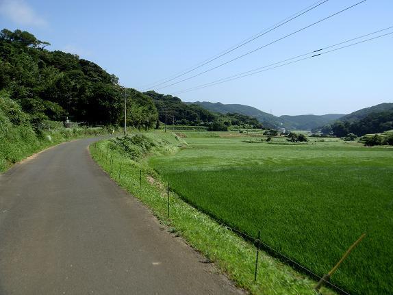 29　迂回ルートも楽しい.JPG