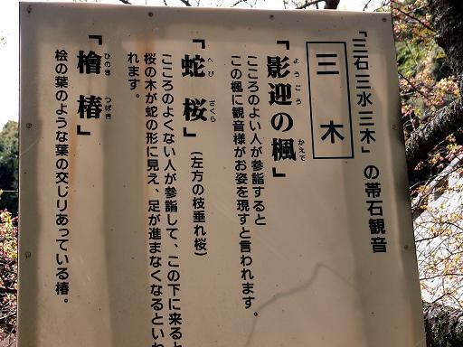 2　三木の謎.JPG