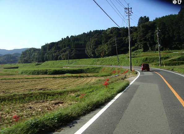 2　何時になったら指が写らないように撮れる？.JPG
