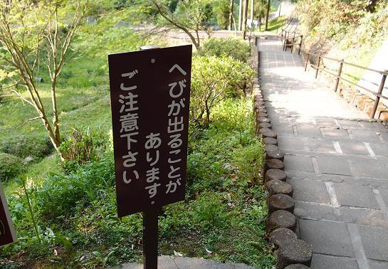 30　やっぱり注意書きが必要な奴なんだ.JPG
