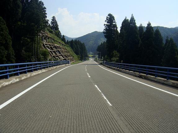 31　道路の縦筋が嫌いです.JPG