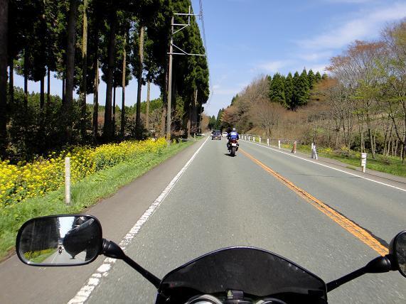 31波野らしい風景.JPG