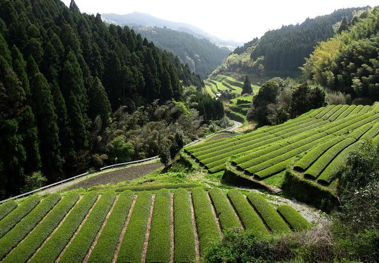 33ドマイナーな峠のちょっといい風景.JPG