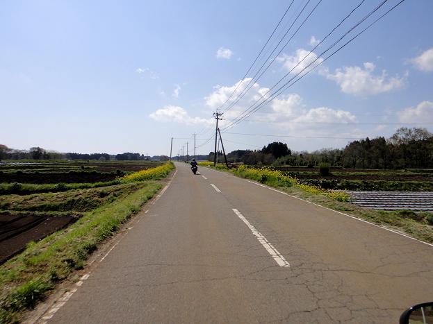 33荻周辺のお気に入りの道.JPG