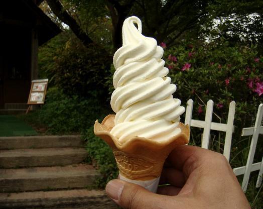 37　もう少し濃厚な味がいいかも.JPG