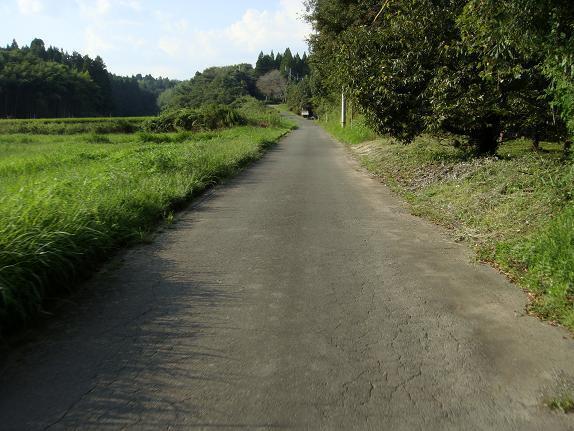 37　ナビが案内してくれた道・・・なんで？.JPG