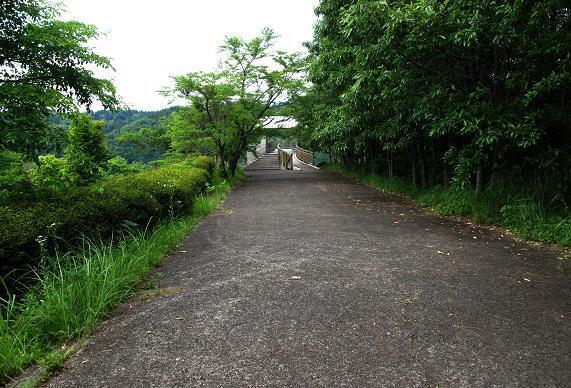 39　展望所が見えてきた.JPG