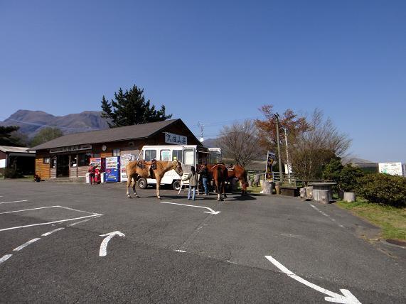 40馬で来てｺｰｼｰタイムしていました.JPG