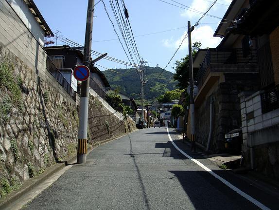 41　登ってみよう.JPG