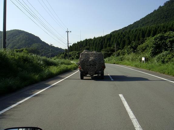 45　野鳥見るとき貸して欲しい.JPG