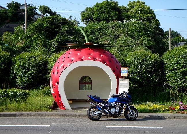 48　久し振りのヘルメット.JPG