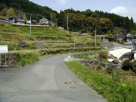 5　わざわざ旧道を選ぶのだ.JPG