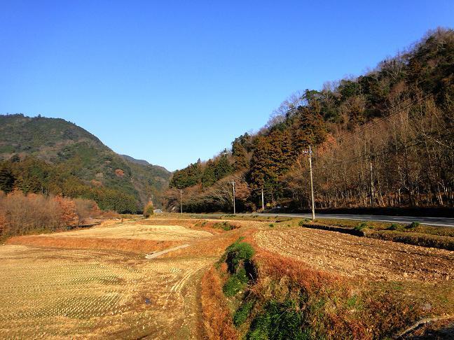 6　寒いけど良い天気.JPG