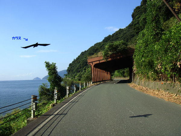 6　琵琶湖湖畔道路.jpg