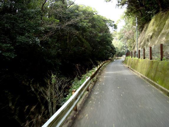 7　堀川沿いです.JPG
