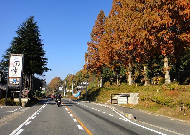 7　紅葉が綺麗なルートです.JPG
