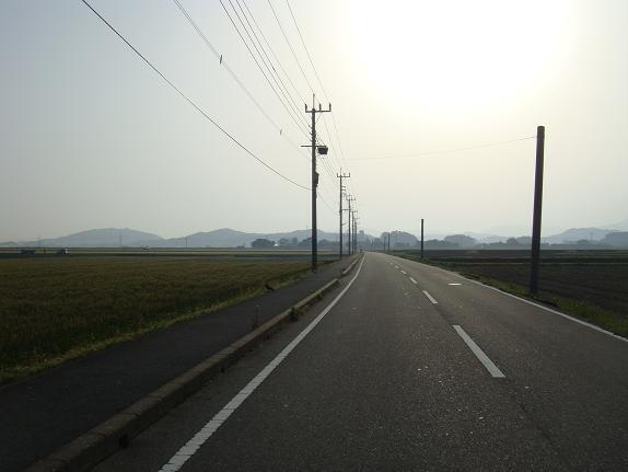 7　麦畑の道.JPG