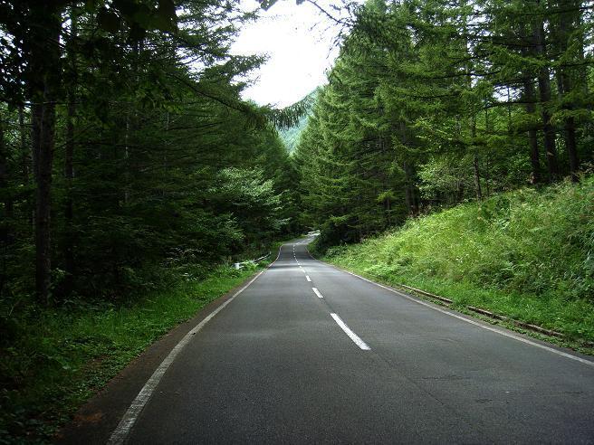 8　素適な峠道.JPG