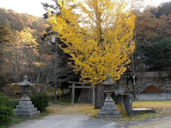 8　軽部神社.JPG