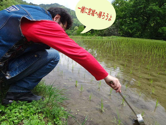 9　イモリすくい.jpg